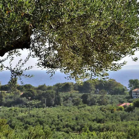 Belvedere - Panoramic Sea View Apts Apartament *